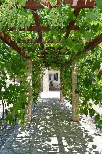 Dobropoljana-162 websize